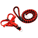 Kit Coleira Peitoral + Guia de Corda Reforçado – Passeios Confortáveis e Seguros!